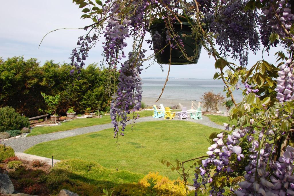 The Lodge At Weir'S Beach Metchosin 외부 사진